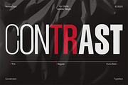NV Dunk – Condensed Sans Serif, a Sans Serif Font by Novaratype (Thumbnail 8 of 15)
