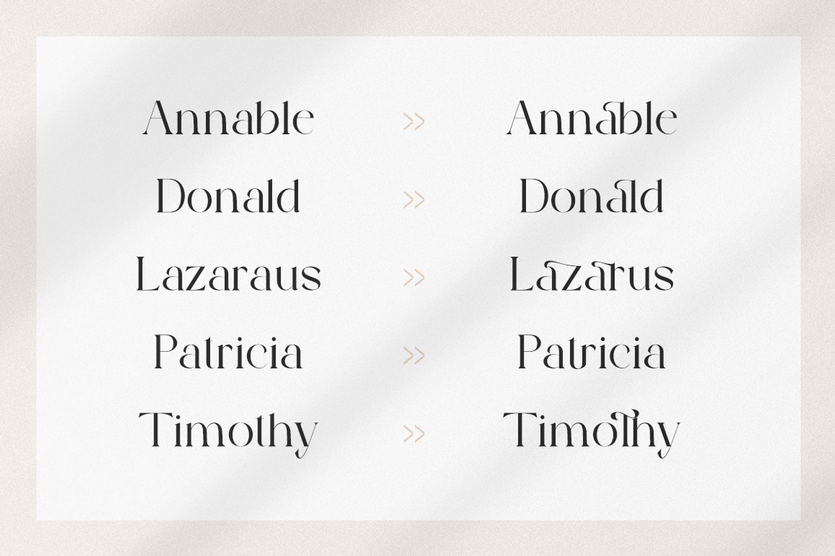 The Devine - Modern Stylish, a Serif Font by RockboyStd (Photo 8 of 12)