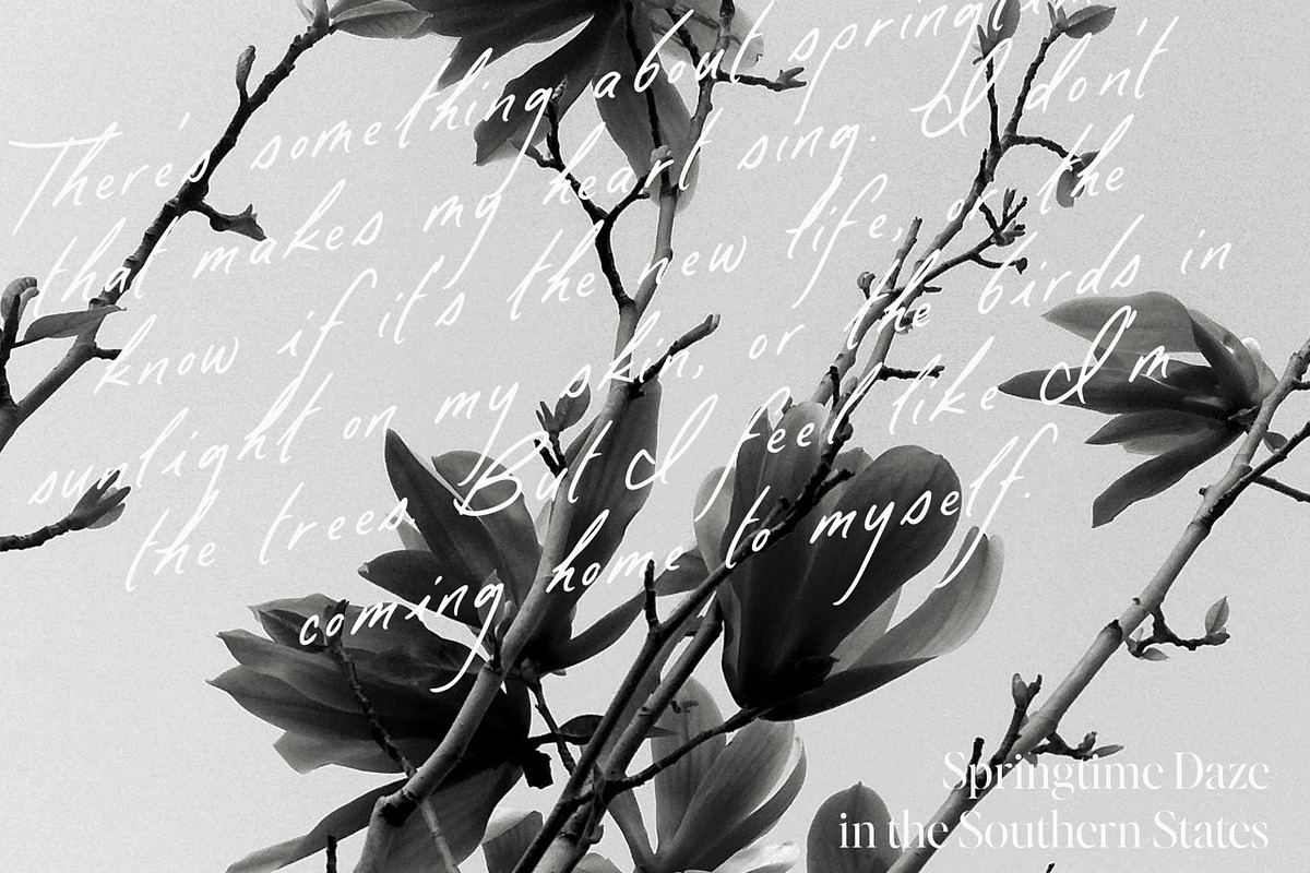 Paso Robles | Handwritten Script, a Handwritten Font by Jen Wagner Co (Photo 12 of 13)