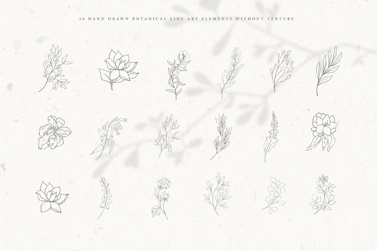 Botanical Alphabet & Monograms., a Decorative Illustration by Designwork (Photo 8 of 18)