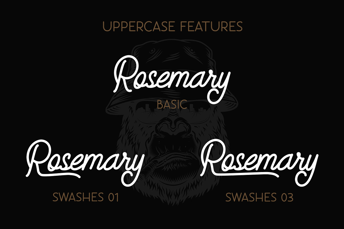 Eastsiders - Monoline Font Duo, a Script Font by Wellscript Studio (Photo 9 of 14)