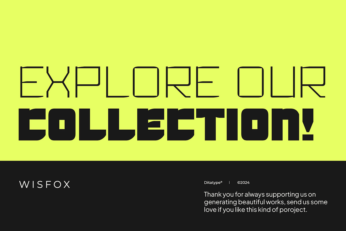 Wisfox, a Symbol Font by Ditatype (Photo 16 of 16)