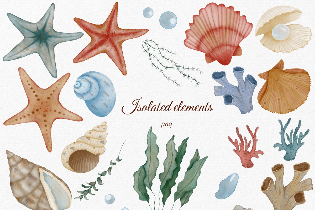 Nautical Watercolor Sea Clipart, an Animal Illustration by ZabolotnaArt (Photo 4 of 13)