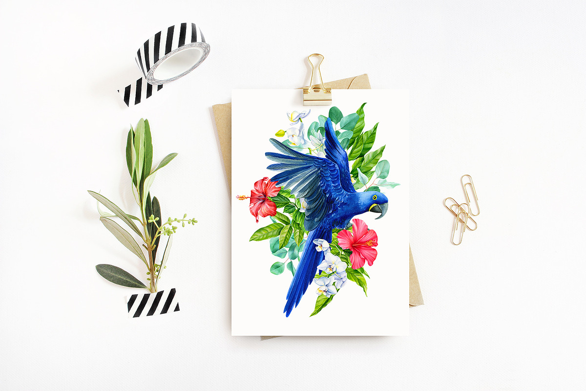 Tropical Birds, Watercolor painting, an Animal Illustration by Hanna Hryharenka (Photo 12 of 13)