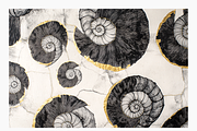 Haro Collection · Organic Textures, a Texture Illustration by milatovar (Thumbnail 11 of 20)