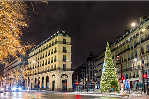 Paris street corner with illuminated Christmas tree at night, an Architecture Photo by Leonid Andronov