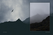 Artist Series – Lightroom Bundle 02, an Action Add-On by PhotoMarket (Thumbnail 17 of 21)