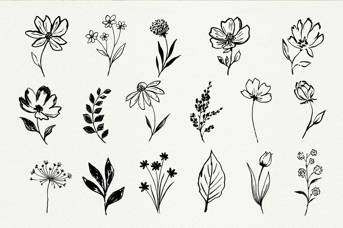 Hand Drawn Ink Botanical Elements, a Decorative Illustration by Irina Ostapenko (Photo 2 of 10)
