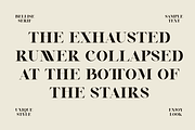 Bellise - Combination Serif, a Serif Font by Marvadesign (Thumbnail 5 of 10)