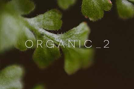 Organic 2 | 20 Botanical Photos, a Nature Photo by Melanie Helena