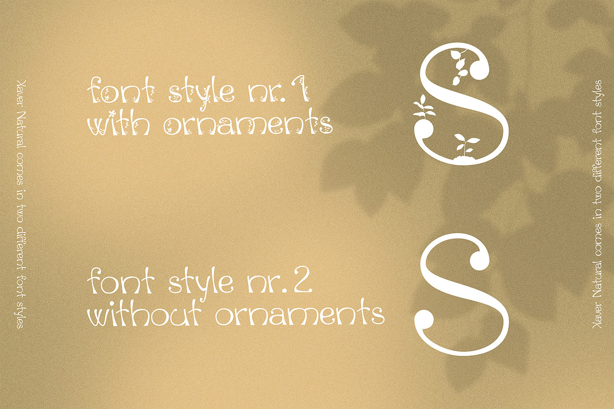Xaver Nature Font, a Sans Serif Font by Xaver DesignStudio (Photo 7 of 12)