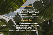Sunquake - Shaky Display & Calm Font, a Sans Serif Font by Creacy Studio (Thumbnail 2 of 11)