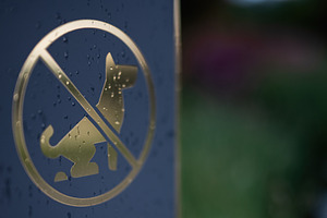 Rain-dappled no dogs poop sign in a serene, blurred natural background, a Photo by AS photostudio