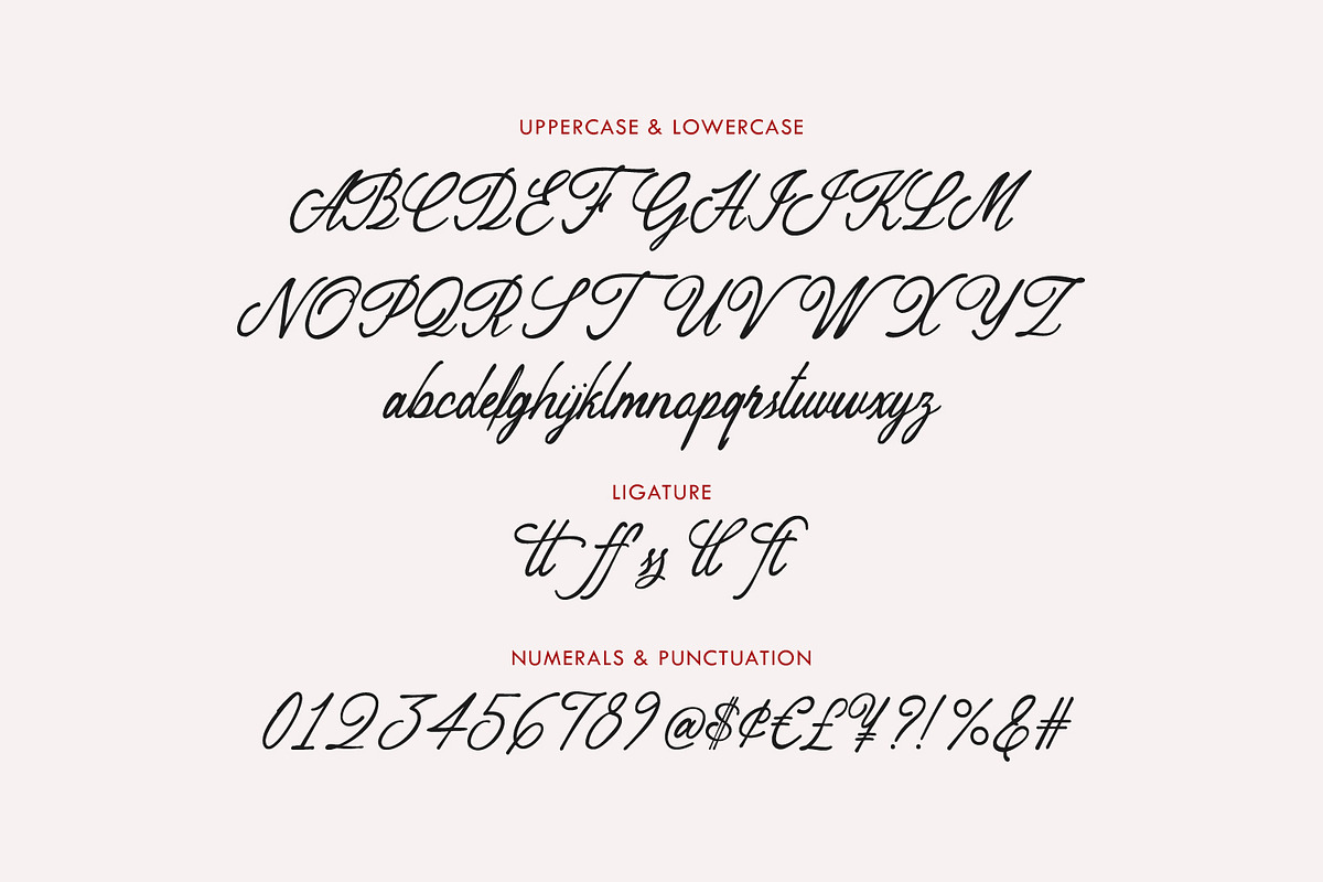 Peuttya Deffunte Sophisticated Font, a Script Font by Maulana Creative (Photo 6 of 7)