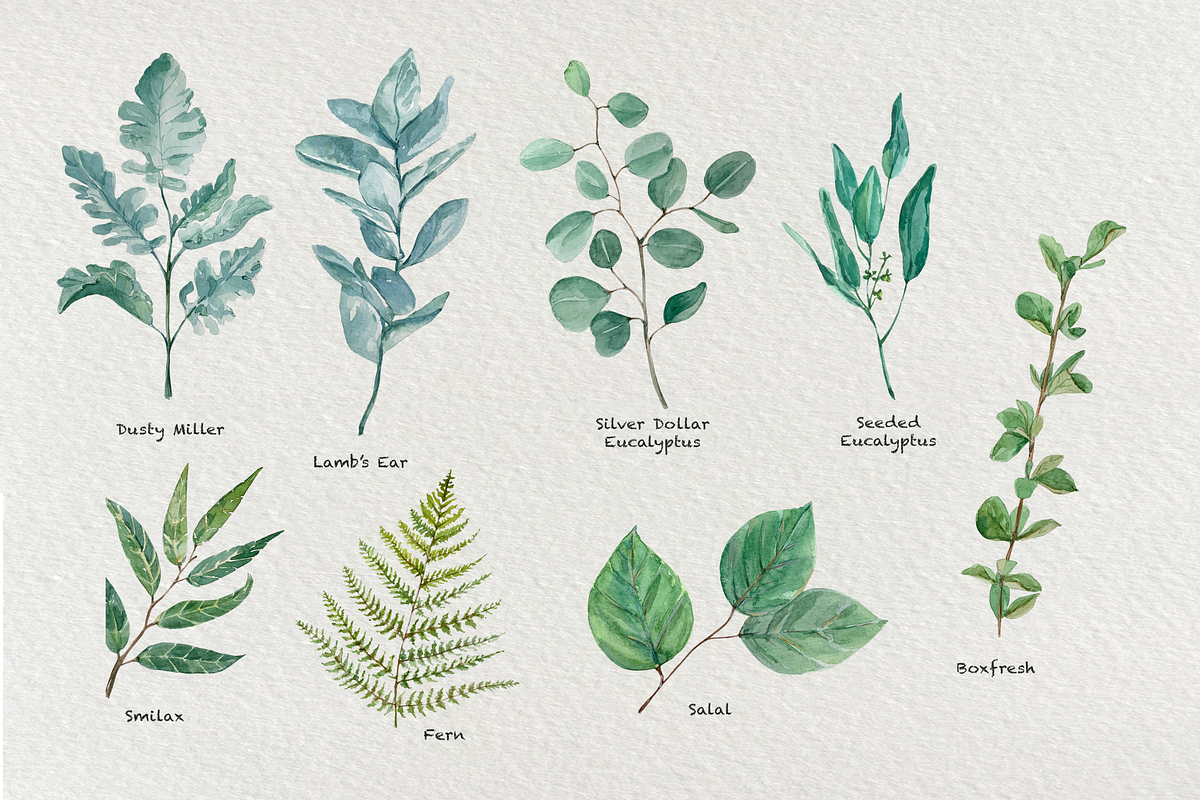 Greenery - Watercolor Clip Art Set, a Decorative Illustration by Tati Bordiu (Photo 2 of 5)
