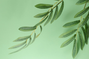 Empty wooden board on green background, stage for display and ad, a Food & Drink Photo by ndanko
