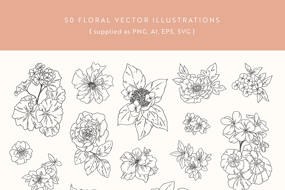 Flower Garden Vector Illustrations, a Decorative Illustration by Emma Webb Studio (Photo 3 of 8)