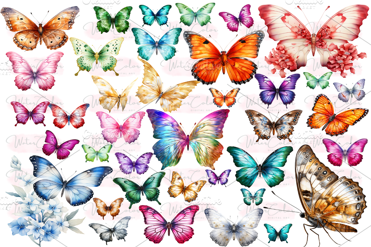 Botanical Butterfly Clipart Decor, a Decorative Illustration by Watercolor Digital (Photo 5 of 9)