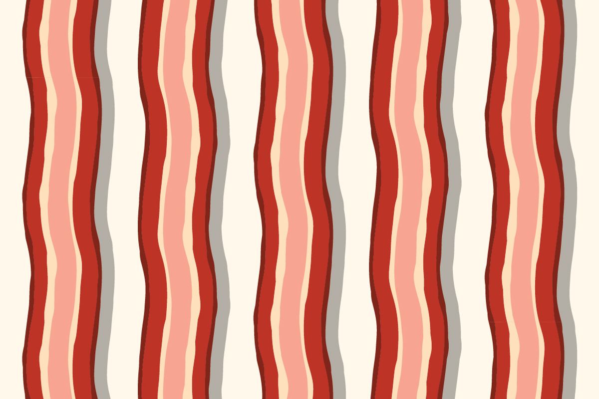 Bacon Brush for Illustrator, a Brush Add-On by roscoepeacock (Photo 3 of 5)