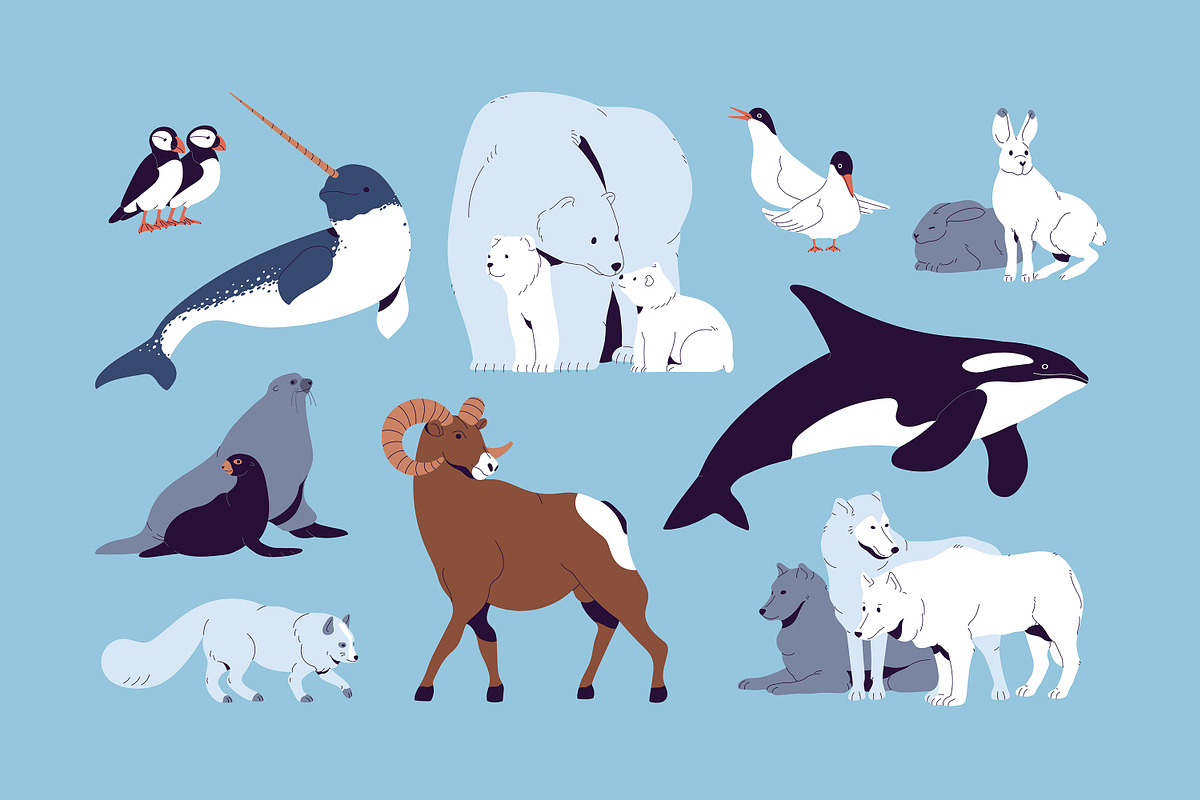 North animals set, seamless patterns, an Animal Illustration by PaperTrident (Photo 2 of 5)