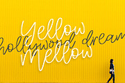 Mellow Script, a Script Font by supfonts (Thumbnail 4 of 7)