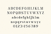 Caleny Luxury Vintage Serif Font, a Serif Font by Artiveko (Thumbnail 2 of 8)
