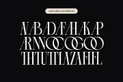 Arganica Stylish Display Serif, a Serif Font by timelesstype.co (Thumbnail 17 of 20)