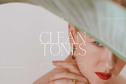 5 Clean Tones Mobile Video Filters, a Brushes & More by TheWayfarerShoppe