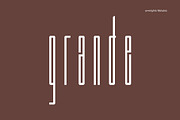 Along Sans Grande Font Family, a Sans Serif Font by Ryul Davidson (Thumbnail 2 of 15)