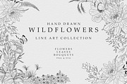 Wildflowers Line Art Collection, a Decorative Illustration by AW Studios (Thumbnail 1 of 5)