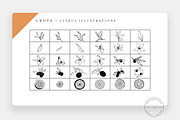 Grove Citrus Procreate Stamps + PNG, a Brush Add-On by SorrDesign (Thumbnail 2 of 8)