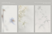 Blur Botanical Vellum Backgrounds, a Background Graphic by alonahaidash (Thumbnail 9 of 14)