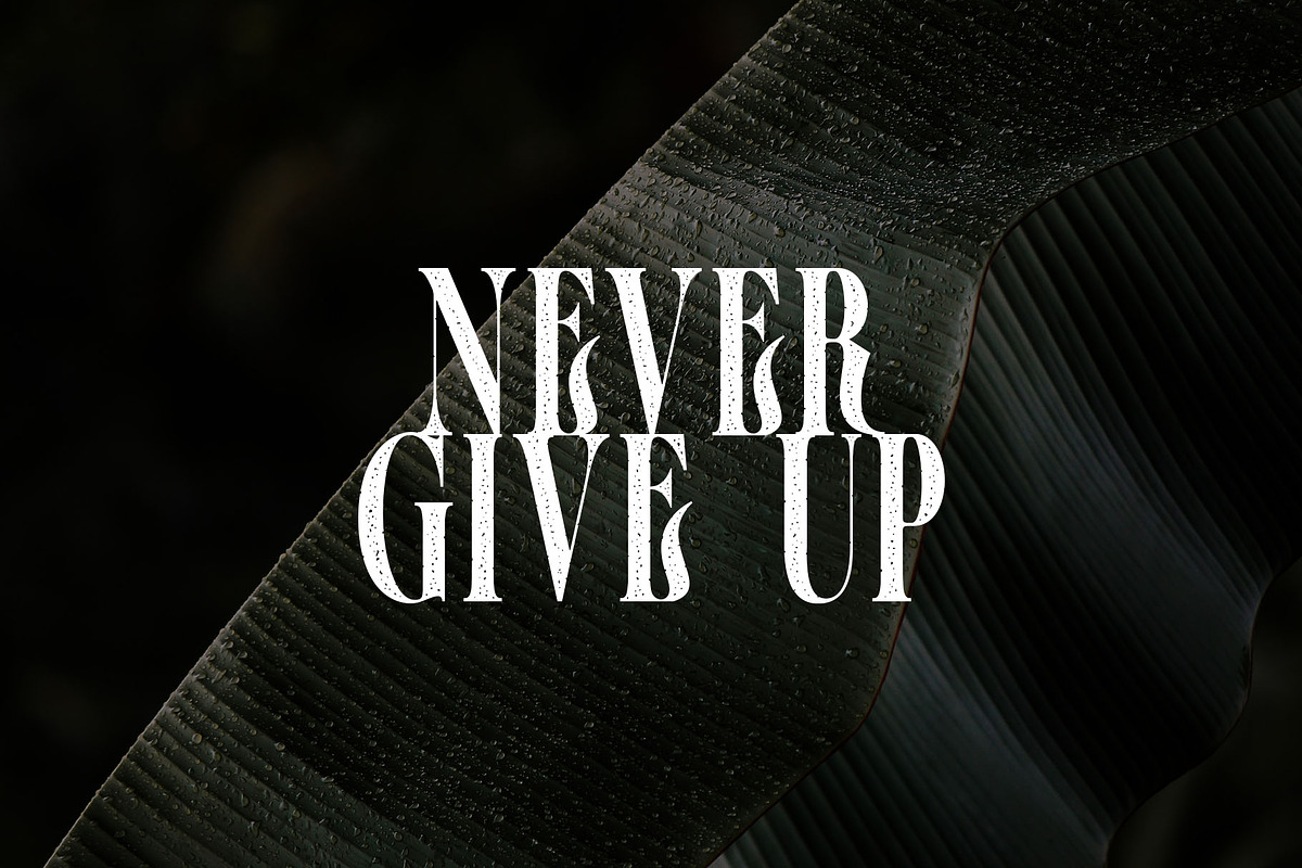 The Casanova (clean & rough), a Blackletter Font by HTLNS.co (Photo 5 of 5)