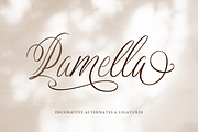 Dellatino - An Elegant Script Font, a Script Font by Ainun Jinan (Thumbnail 9 of 12)