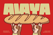 Avaya - Bold Display Sans Font