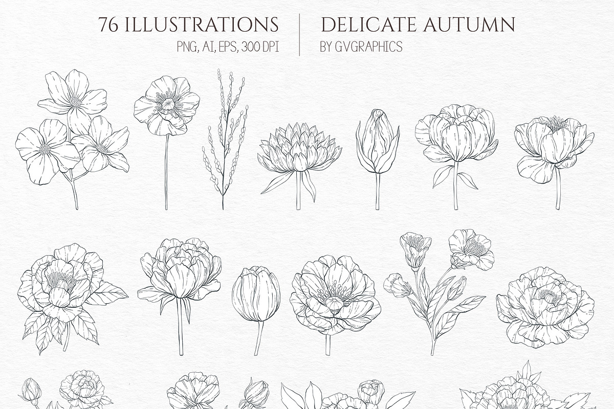 Delicate Autumn Collection, a Seasonal Illustration by GVGraphics (Photo 3 of 15)