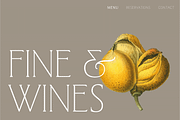 West and Olives (6 fonts + variable), a Font by The Old Type Foundry (Thumbnail 12 of 12)