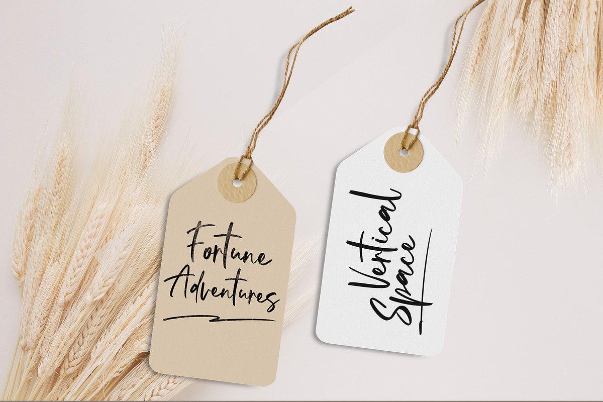Rollakisse – Stylish Signature, a Script Font by Almarkhatype (Photo 4 of 8)