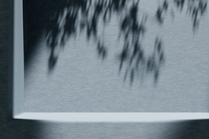 Blue wall plant shadow podium, an Abstract Photo by hitdelight