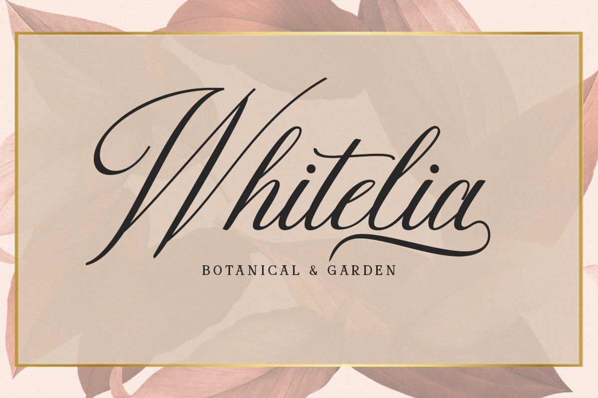 Darshye Script, a Script Font by Solidtype (Photo 6 of 7)