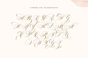 Robinsan - Premium Calligraphy, a Script Font by Silverdav (Thumbnail 15 of 16)