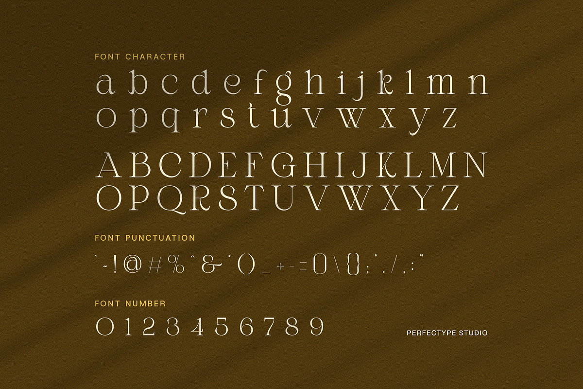 Riukan modern elegant serif font, a Serif Font by Perfectype (Photo 8 of 8)