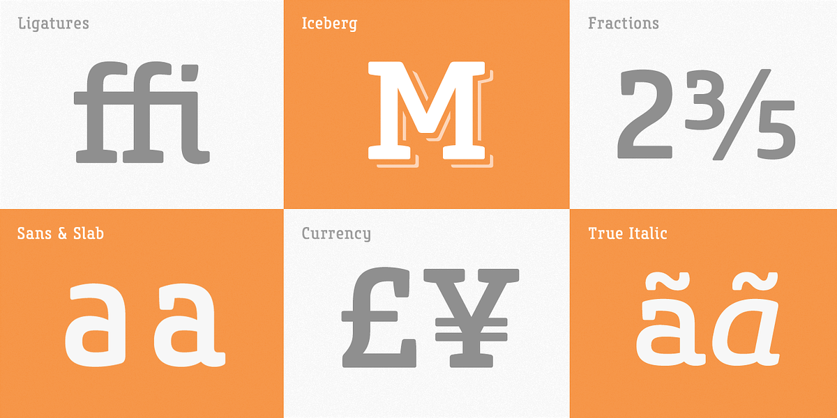 Core Slab M, a Slab Serif Font by S-Core (Photo 5 of 5)