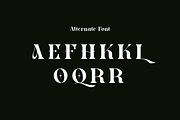 Eqaslo - Elegant Vintage Font, a Serif Font by Iqsiart Studio (Thumbnail 12 of 14)
