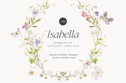 Watercolor Delicate Wildflowers set, a Decorative Illustration by Grace Noboa Illustrations