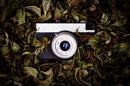 Vintage camera stock photo containing camera and black, a Technology Photo by ptystockphoto