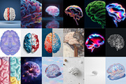 Artistic Human Brain Graphics, an Object Graphic by HipFonts (Thumbnail 8 of 10)