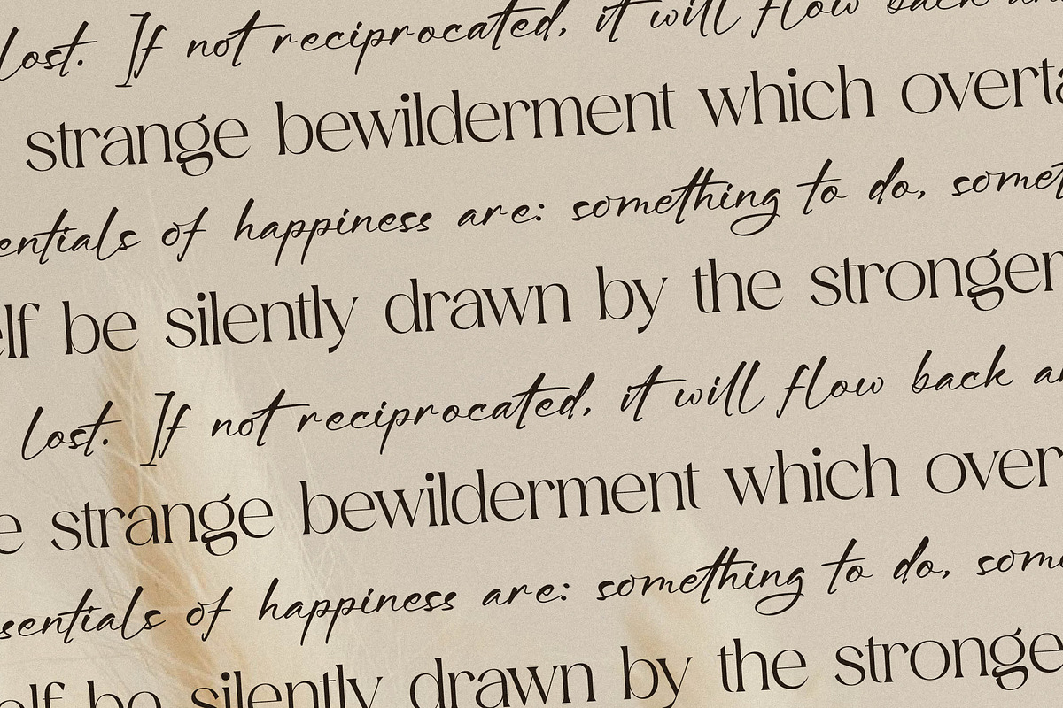Aurora Magnollia Font Duo, a Serif Font by Storytype Studio (Photo 7 of 15)