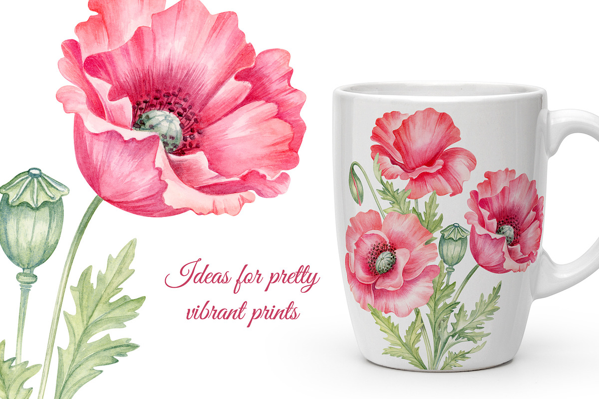 Wild flowers bundle, set Wildflowers, a Texture Illustration by MarinadeArt (Photo 8 of 8)