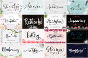 Ultimate Font Collection Bundle, a Script Font by JustArtDigital (Thumbnail 5 of 5)